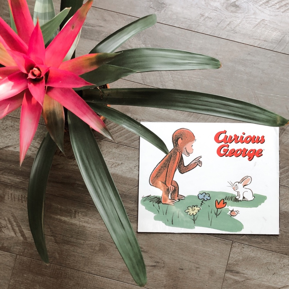 Vintage Curious George 11x14 Print